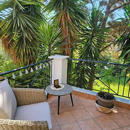 Corfu Dream Holidays *